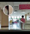 我的白殿疯4个月了没有在发展这属于什么类型的